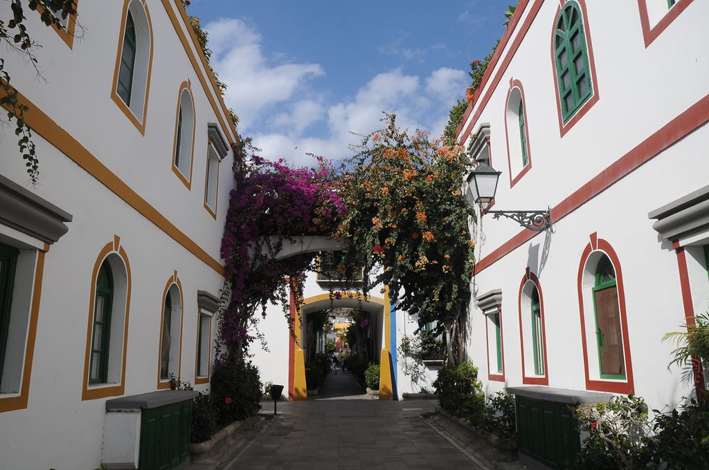 384    Gran Canaria